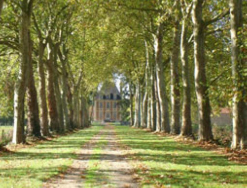 Chateau De Villars Villeneuve-sur-Allier Exterior photo